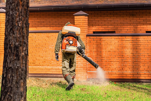 Trusted Ant Control service in Garden Ridge, TX - Nex Pest Control